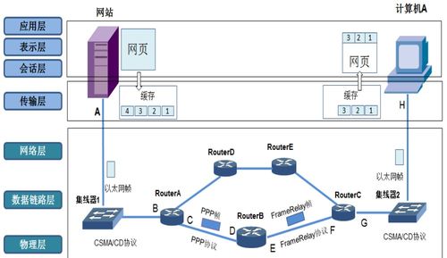 深入理解計算機網(wǎng)絡(luò)體系結(jié)構(gòu) TCP/IP協(xié)議與計算機系統(tǒng)服務(wù)